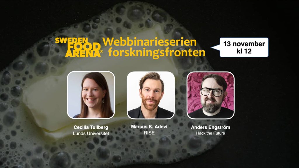 forskningsfrontendel1_webb
